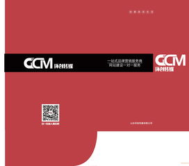 濟(jì)南企業(yè)品牌設(shè)計(jì)與視覺傳達(dá) 平面包裝與VI圖冊設(shè)計(jì)的價(jià)值與選擇